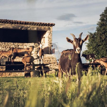 Le Domaine Du Castellas Sivergues المظهر الخارجي الصورة