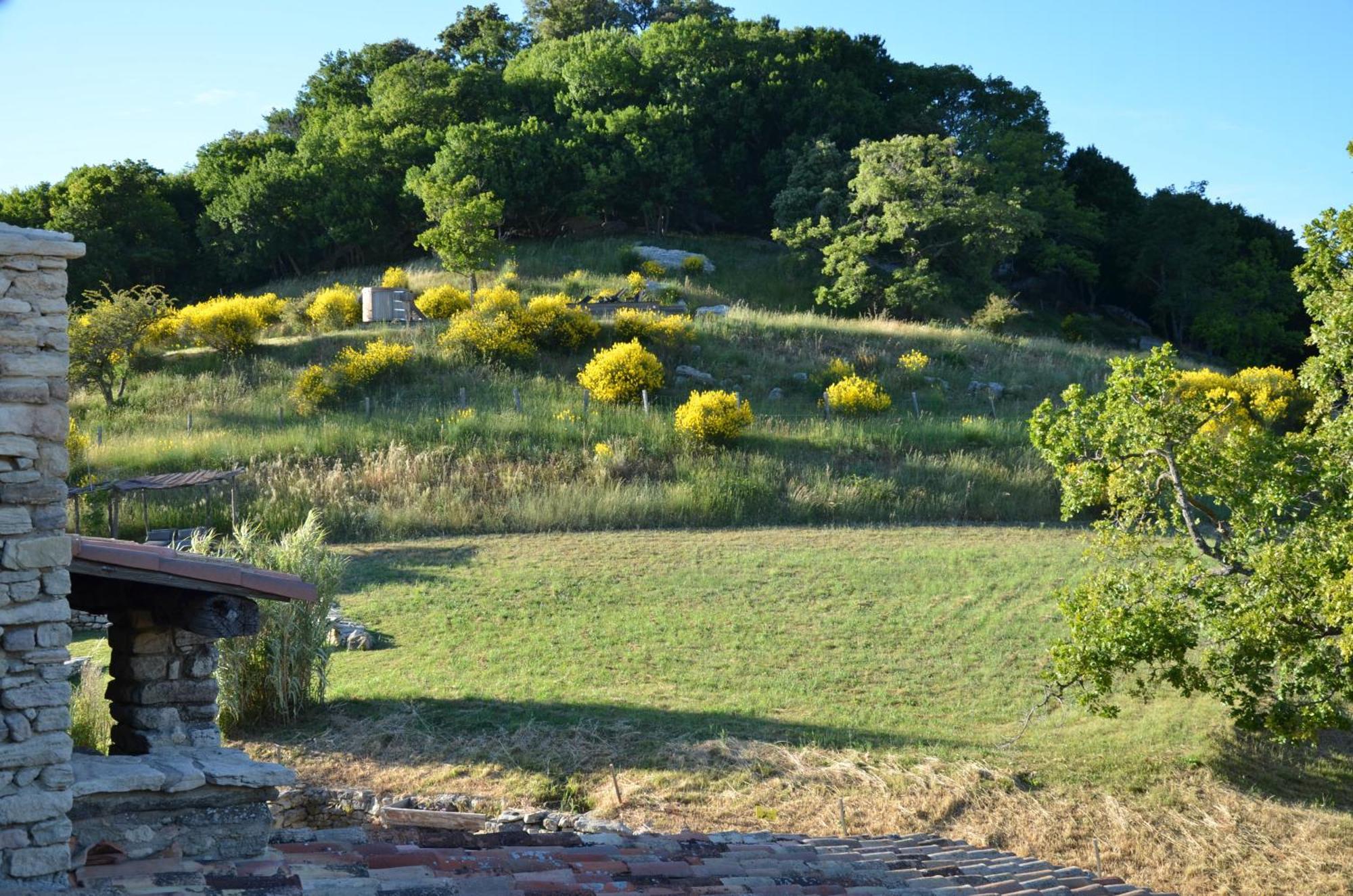 Le Domaine Du Castellas Sivergues المظهر الخارجي الصورة